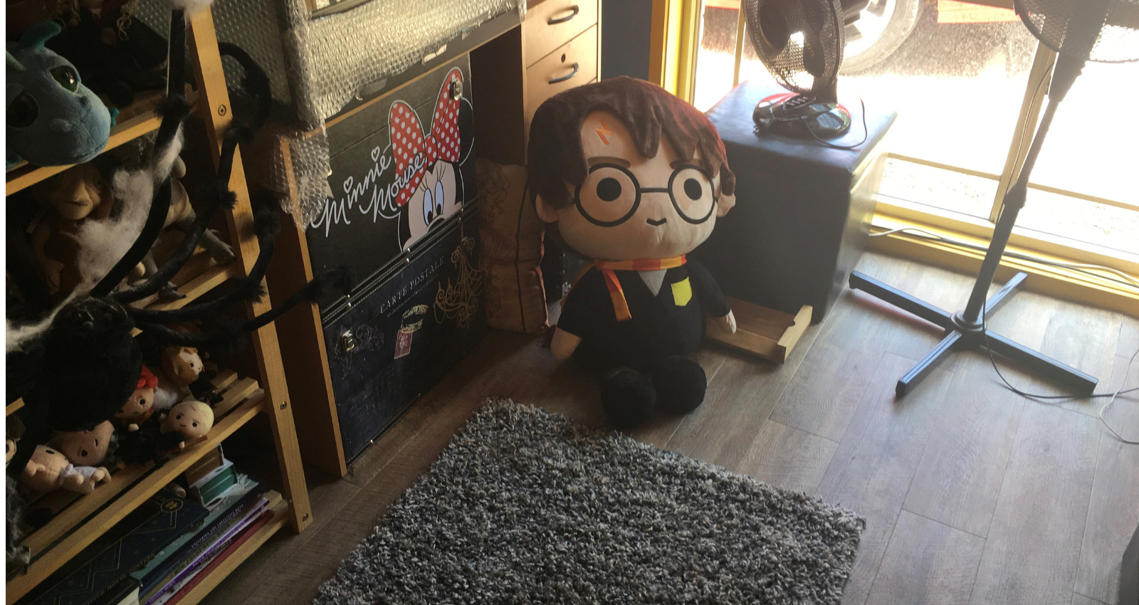 Harry Potter_Autism_Books_SpecialKids.Company