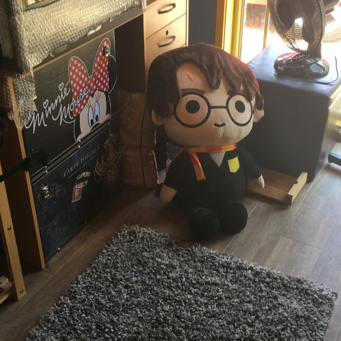 Harry Potter_Autism_Books_SpecialKids.Company