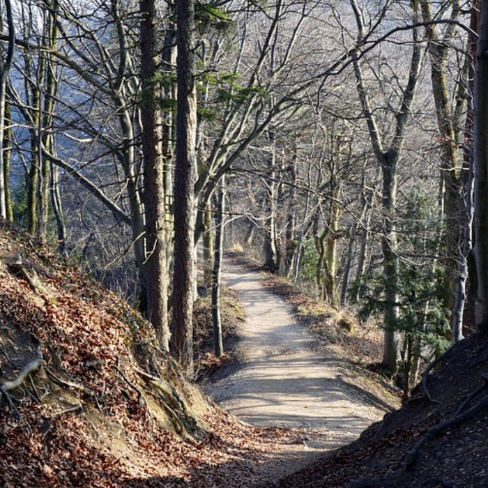 ANXIETY IS JUST NATURE