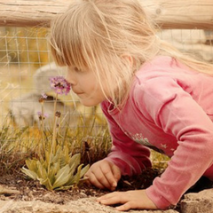 HSAM_Highly_Superior_Autobiographical_Memory_Sensory_Emotions