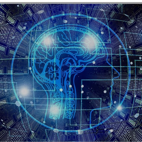 a digital image that looks like a circuit board with a outline of a human head and its cortex