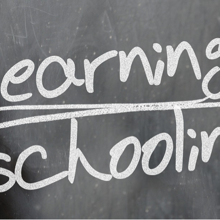 Parents: Know your Child’s Legal Rights at School