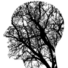 Special_Kids_Adaptive_Young_People_Disabilities_Autism_ASD