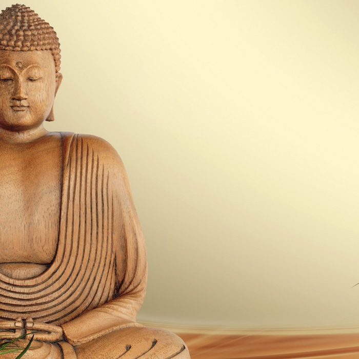 meditation-buddha-statue-specialkids.company