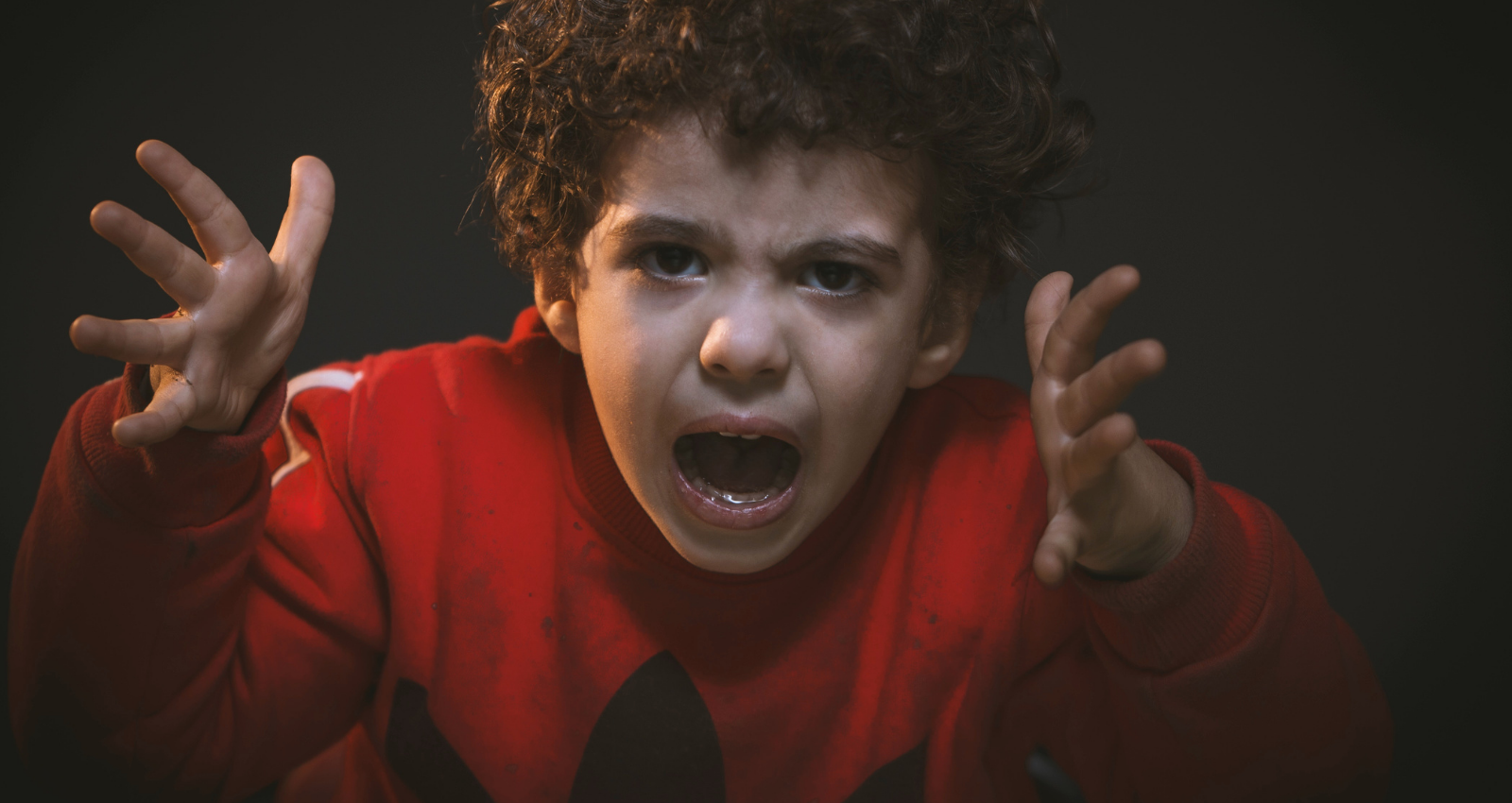 Dealing with aggressive behaviour in special needs children