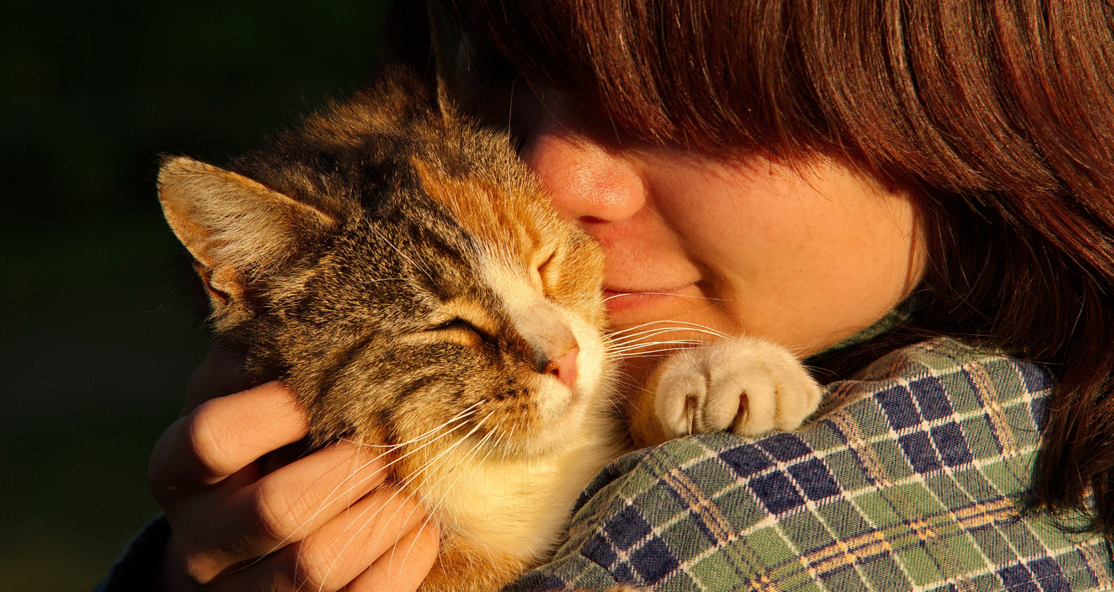 How emotionally connecting with animals can help reduce anxiety