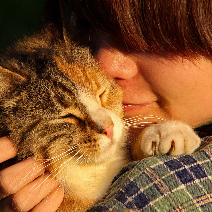 How emotionally connecting with animals can help reduce anxiety