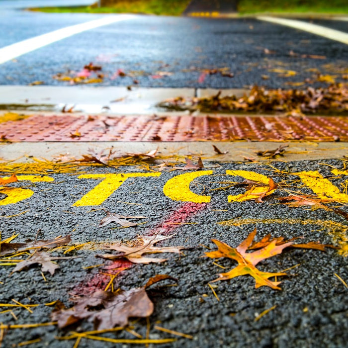 image of the words STOP written in yellow on the curb of a crossing. Leaves cover the floor slightly